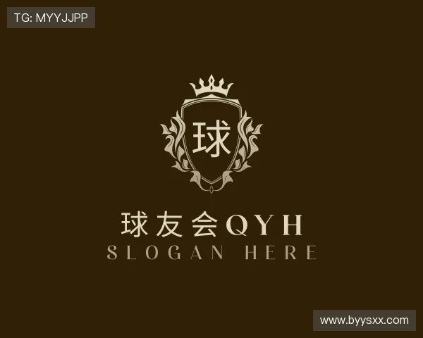 解读球友会qyh